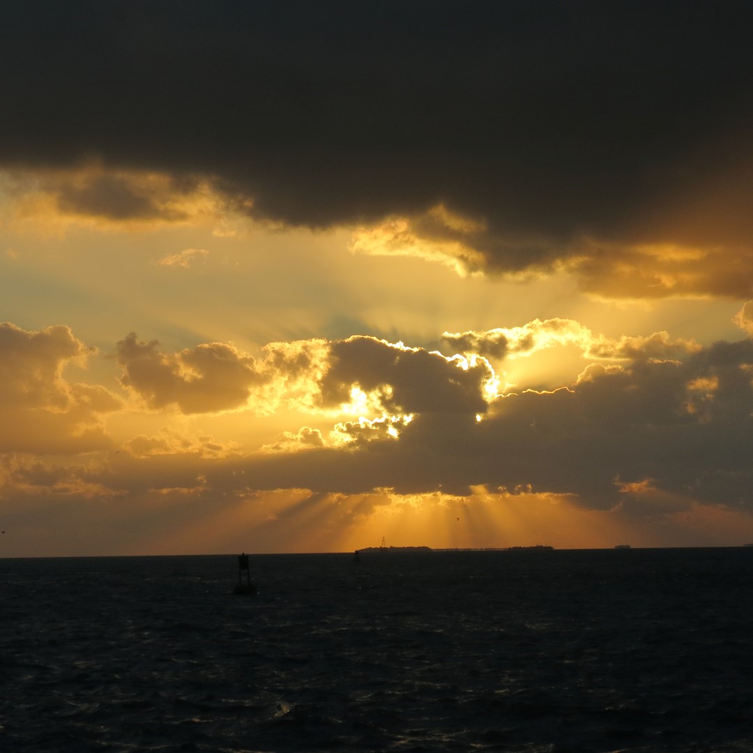 Sunset Party in Key West 104 of 142 (#5422)