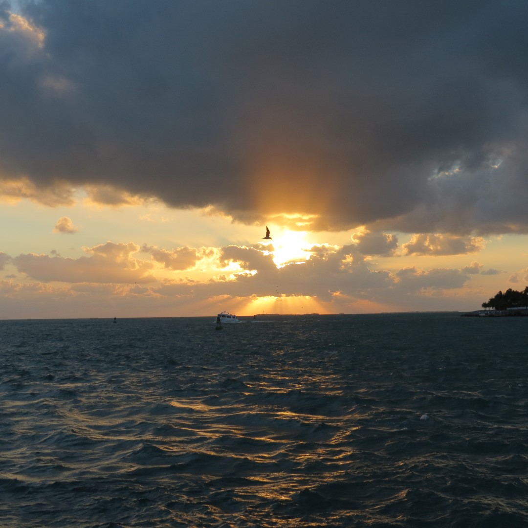 Sunset Party in Key West 111 of 142 (#5429)