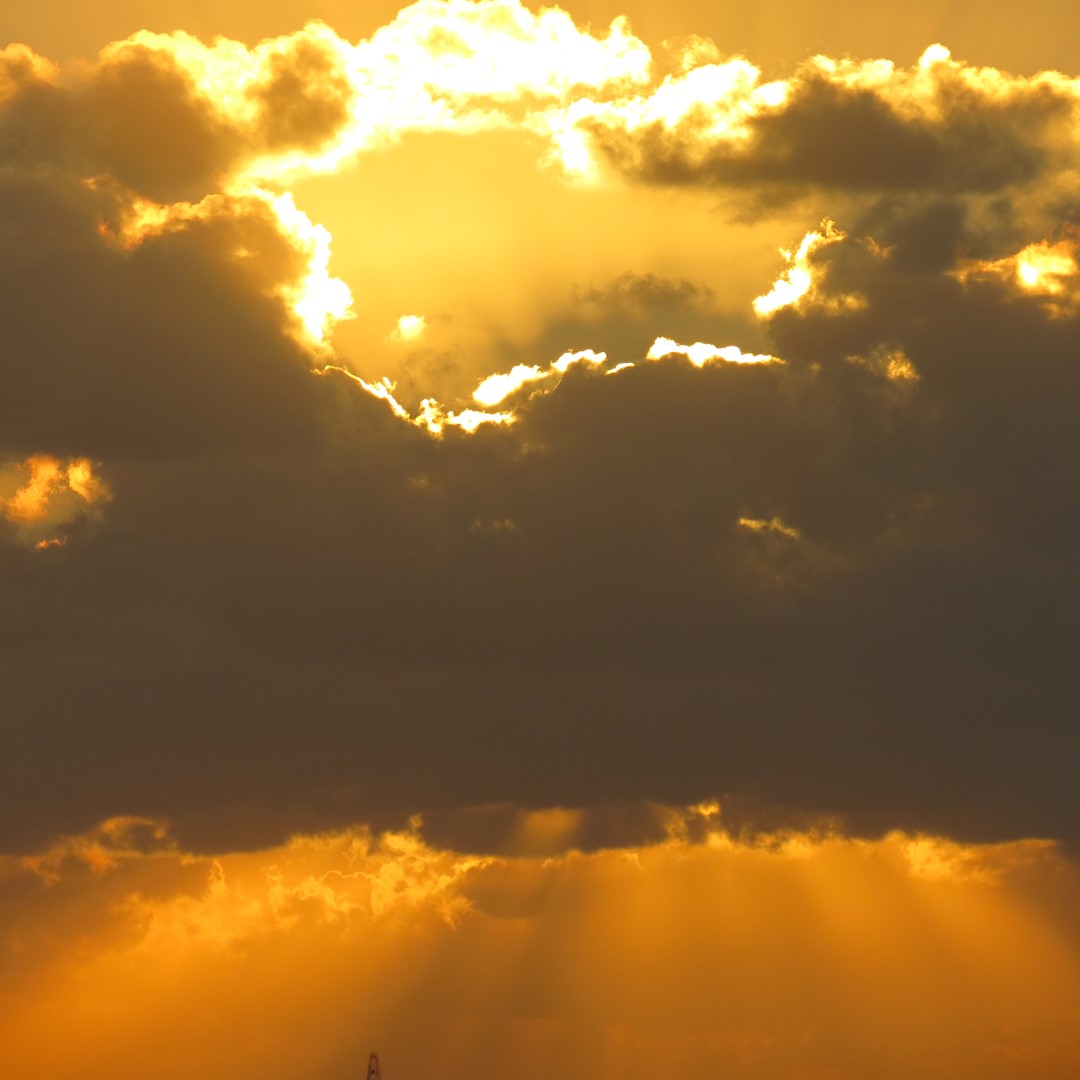 Sunset Party in Key West 115 of 142 (#5433)