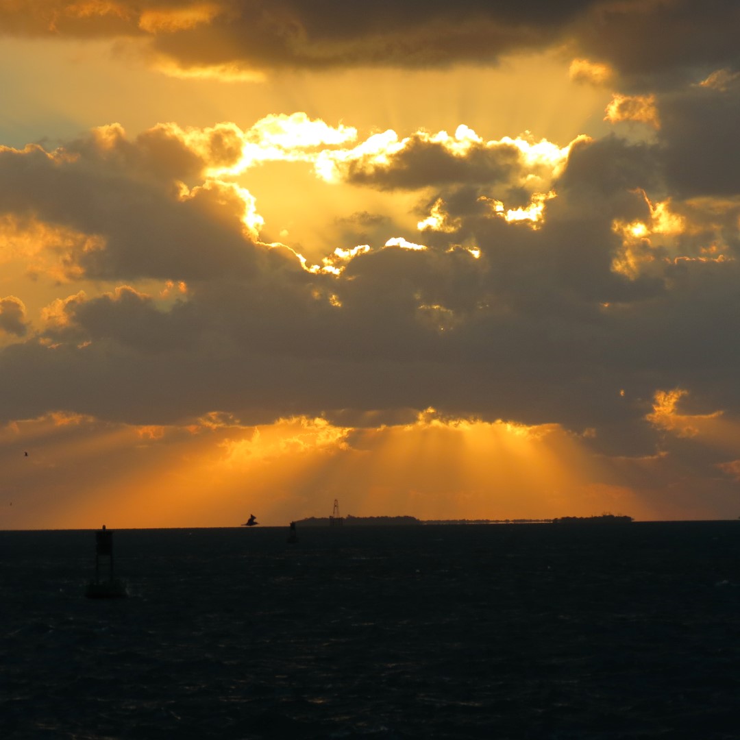 Sunset Party in Key West 117 of 142 (#5435)