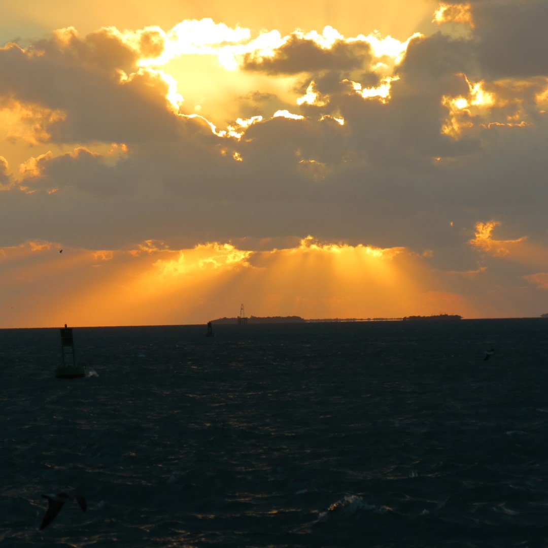 Sunset Party in Key West 118 of 142 (#5436)