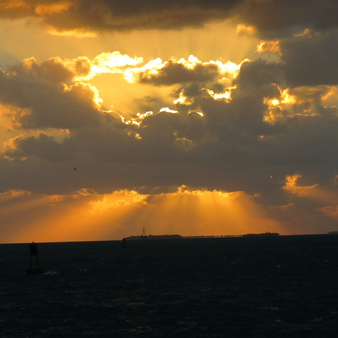 Sunset Party in Key West 119 of 142 (#5437)