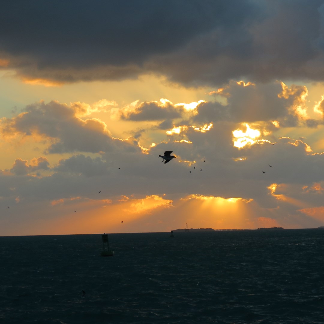 Sunset Party in Key West 120 of 142 (#5438)