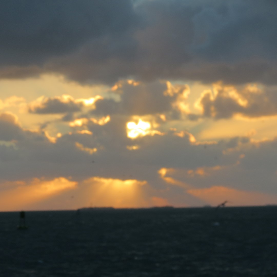 Sunset Party in Key West 121 of 142 (#5439)