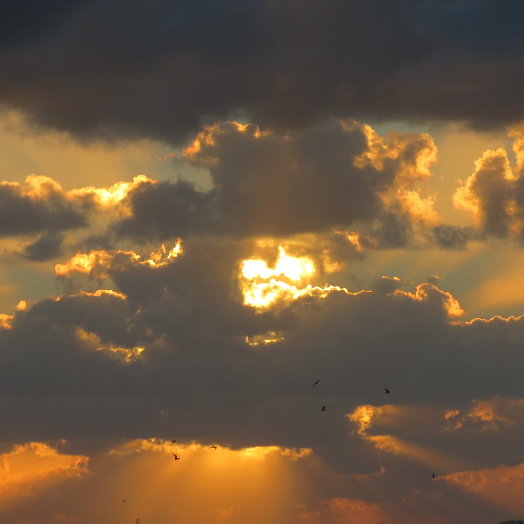 Sunset Party in Key West 122 of 142 (#5440)