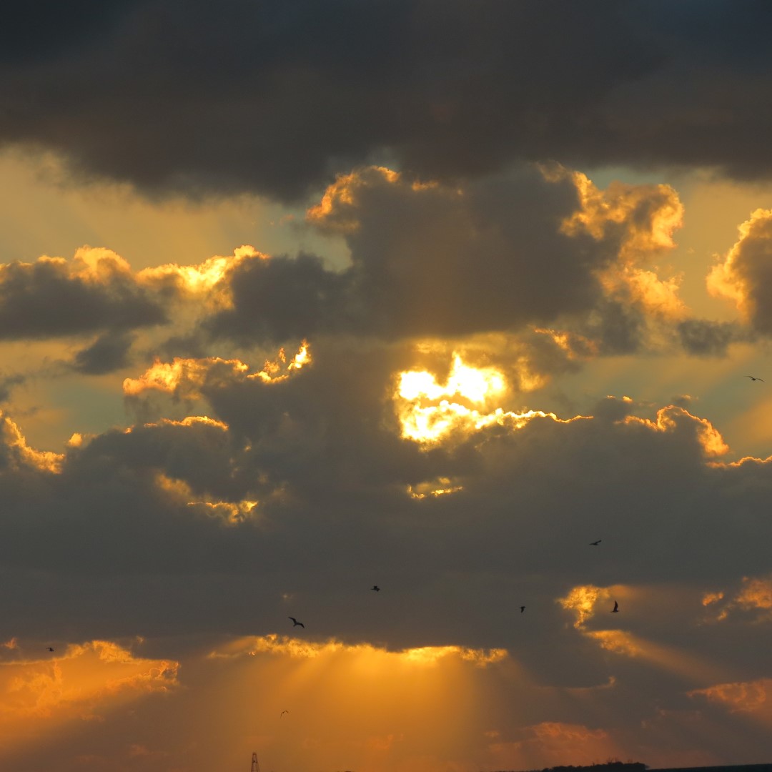 Sunset Party in Key West 123 of 142 (#5441)