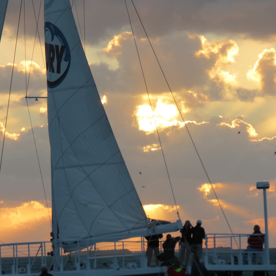 Sunset Party in Key West 125 of 142 (#5443)