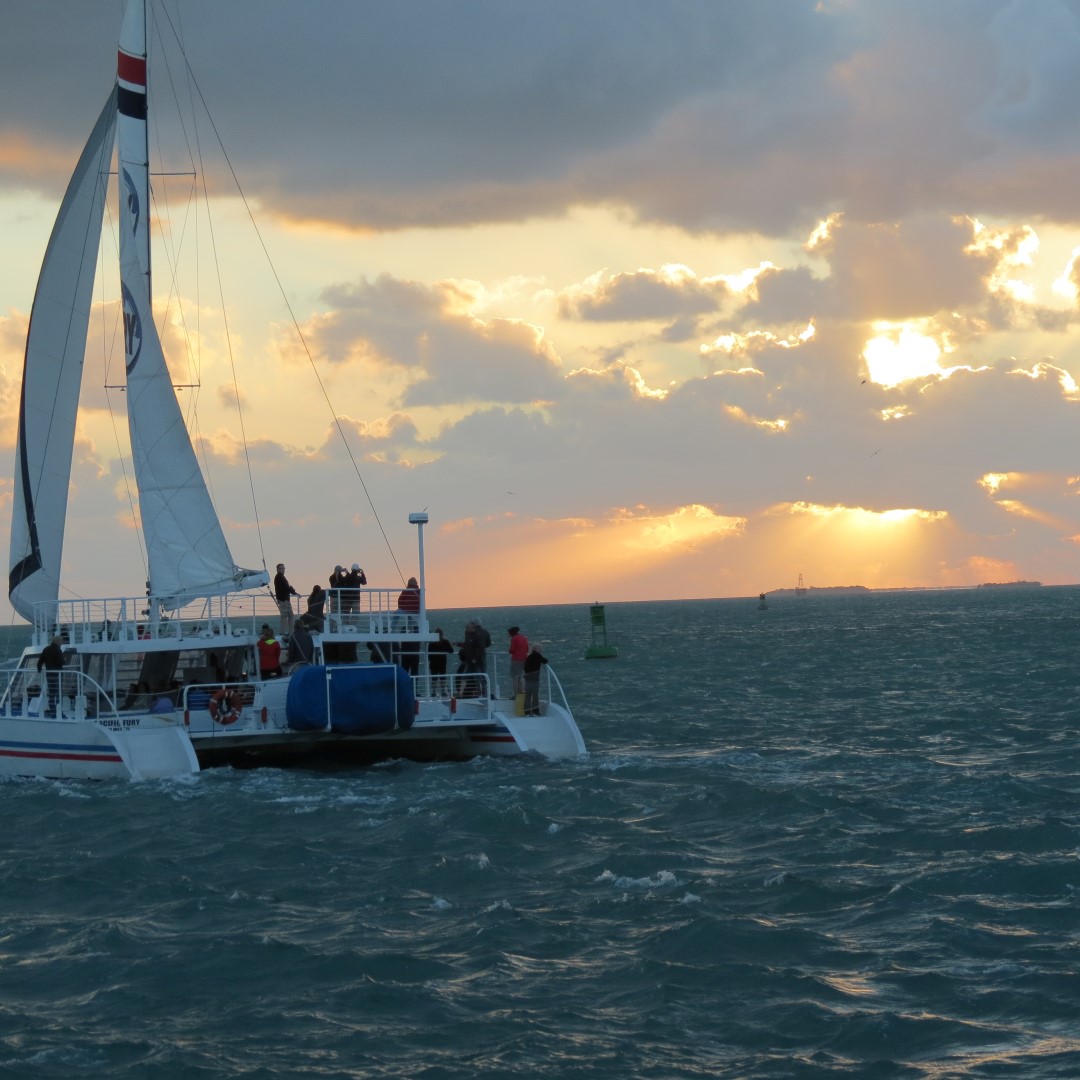 Sunset Party in Key West 126 of 142 (#5444)