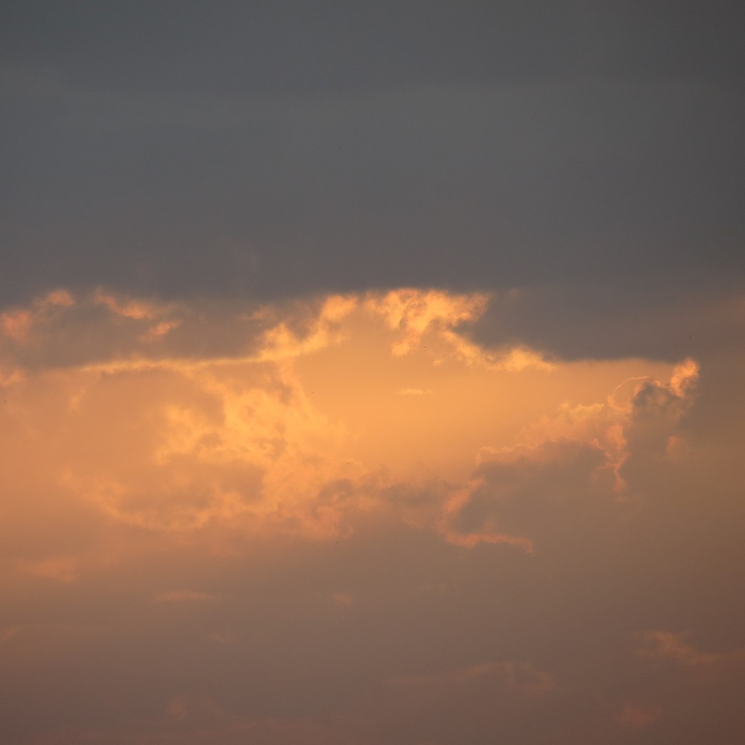 Sunset Party in Key West 129 of 142 (#5447)