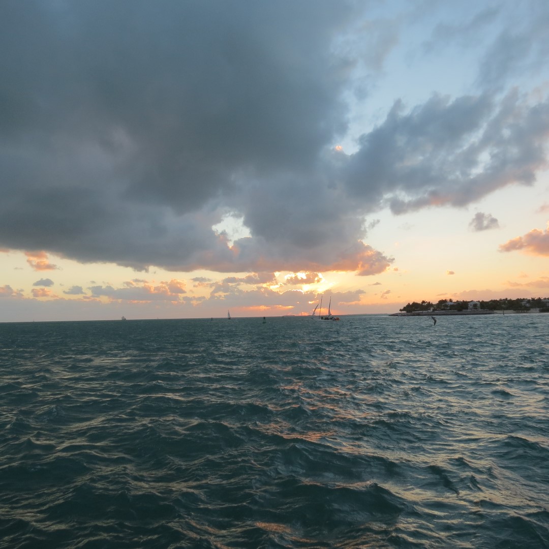 Sunset Party in Key West 134 of 142 (#5452)