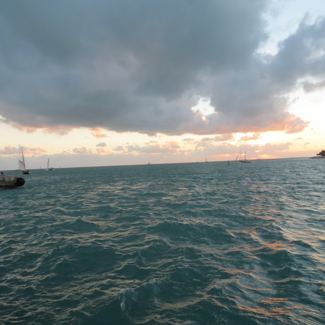 Sunset Party in Key West 136 of 142 (#5454)