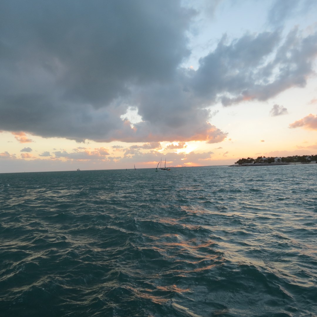 Sunset Party in Key West 137 of 142 (#5455)