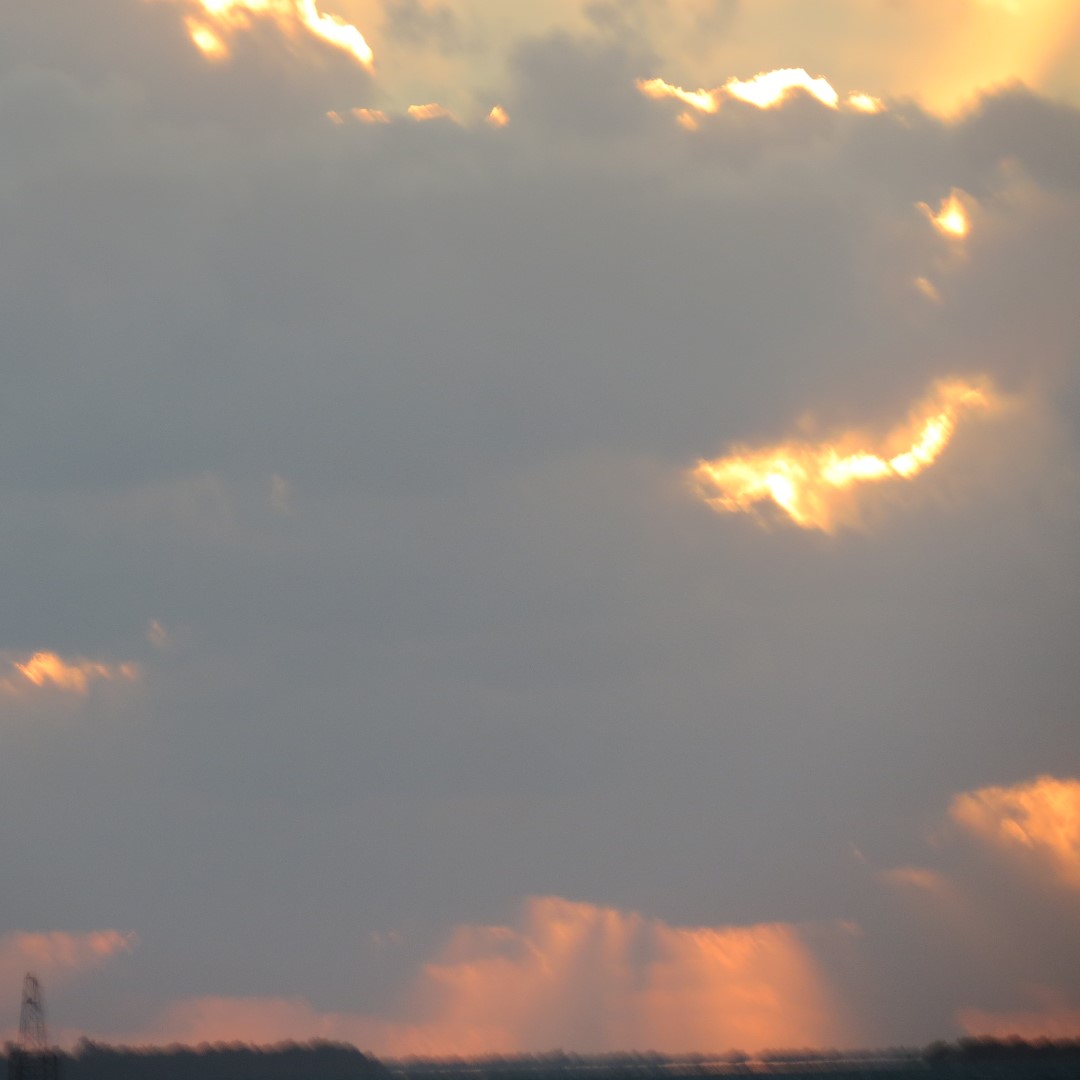 Sunset Party in Key West 142 of 142 (#5460)