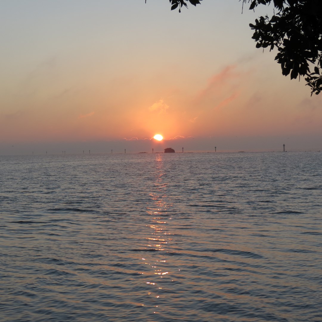 Biscayne - Sunrise over the Park  1 of 15 (#5468)