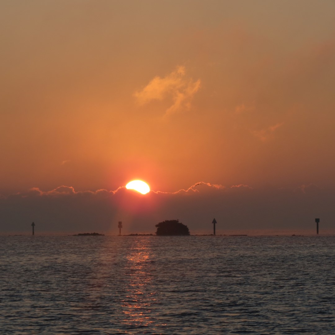 Biscayne - Sunrise over the Park  2 of 15 (#5469)