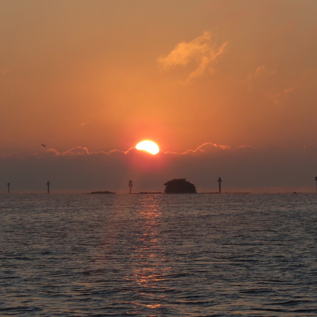 Biscayne - Sunrise over the Park  3 of 15 (#5470)