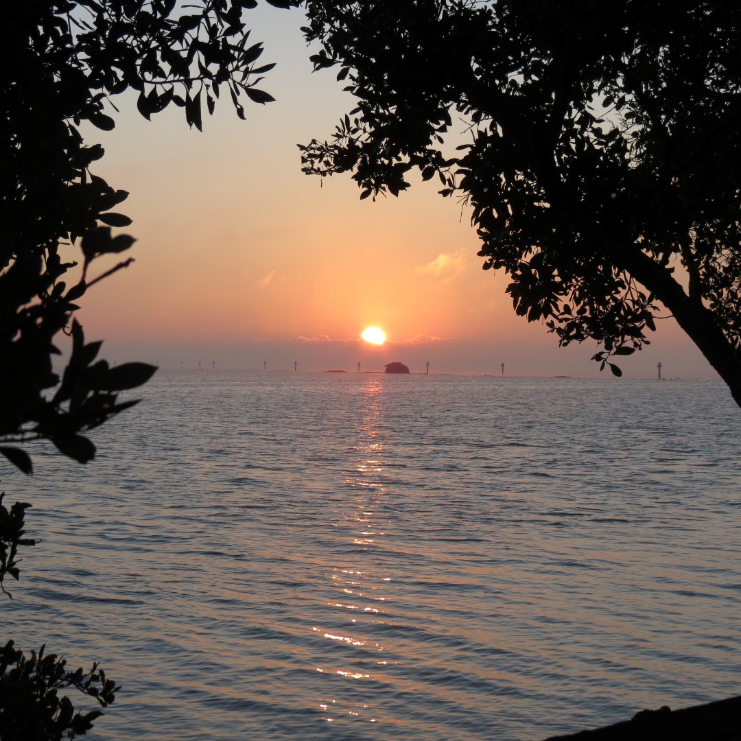 Biscayne - Sunrise over the Park  4 of 15 (#5471)