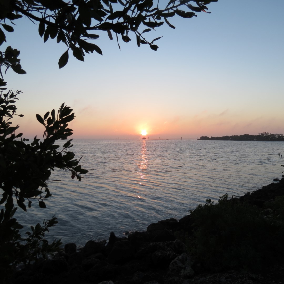 Biscayne - Sunrise over the Park  5 of 15 (#5473)