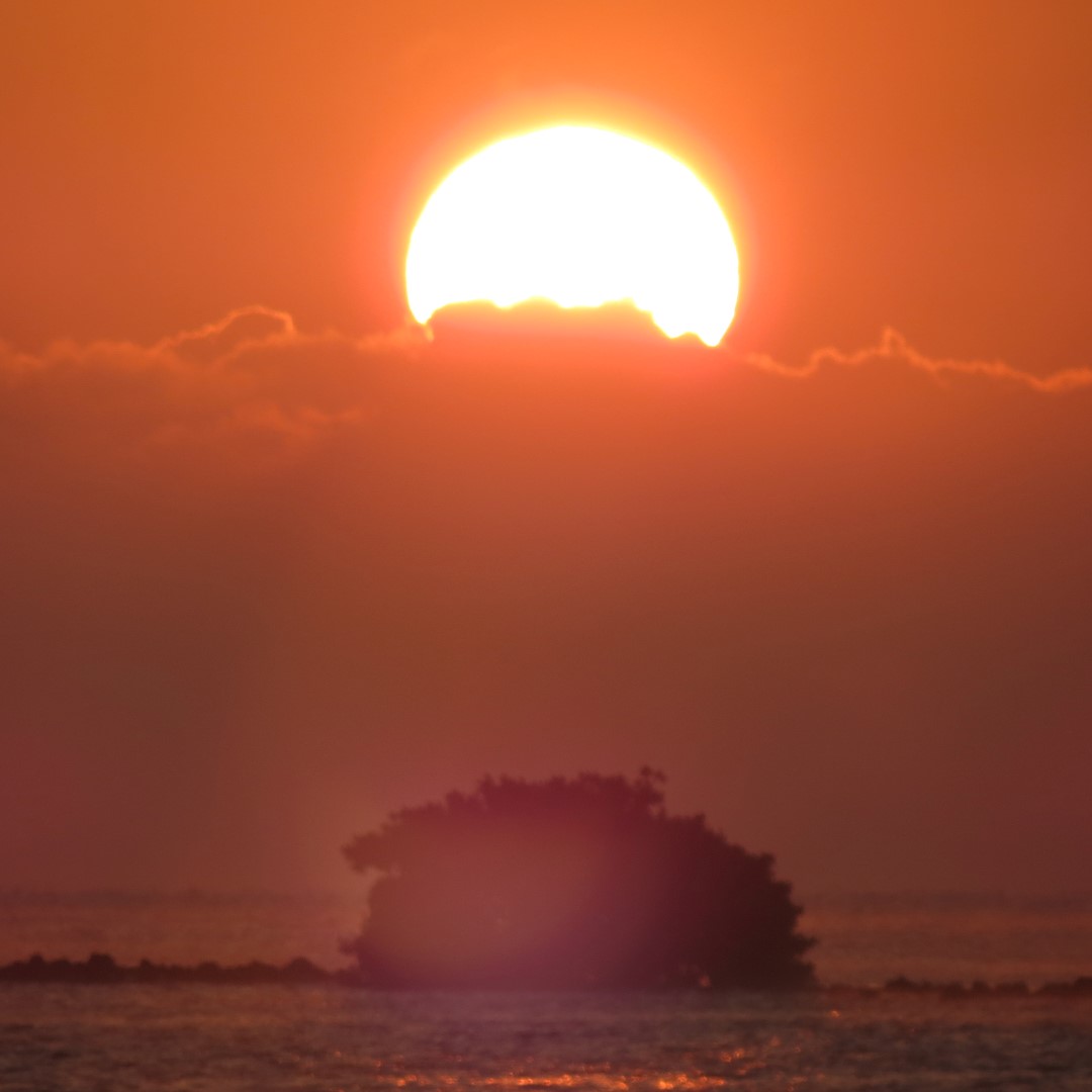 Biscayne - Sunrise over the Park  6 of 15 (#5474)