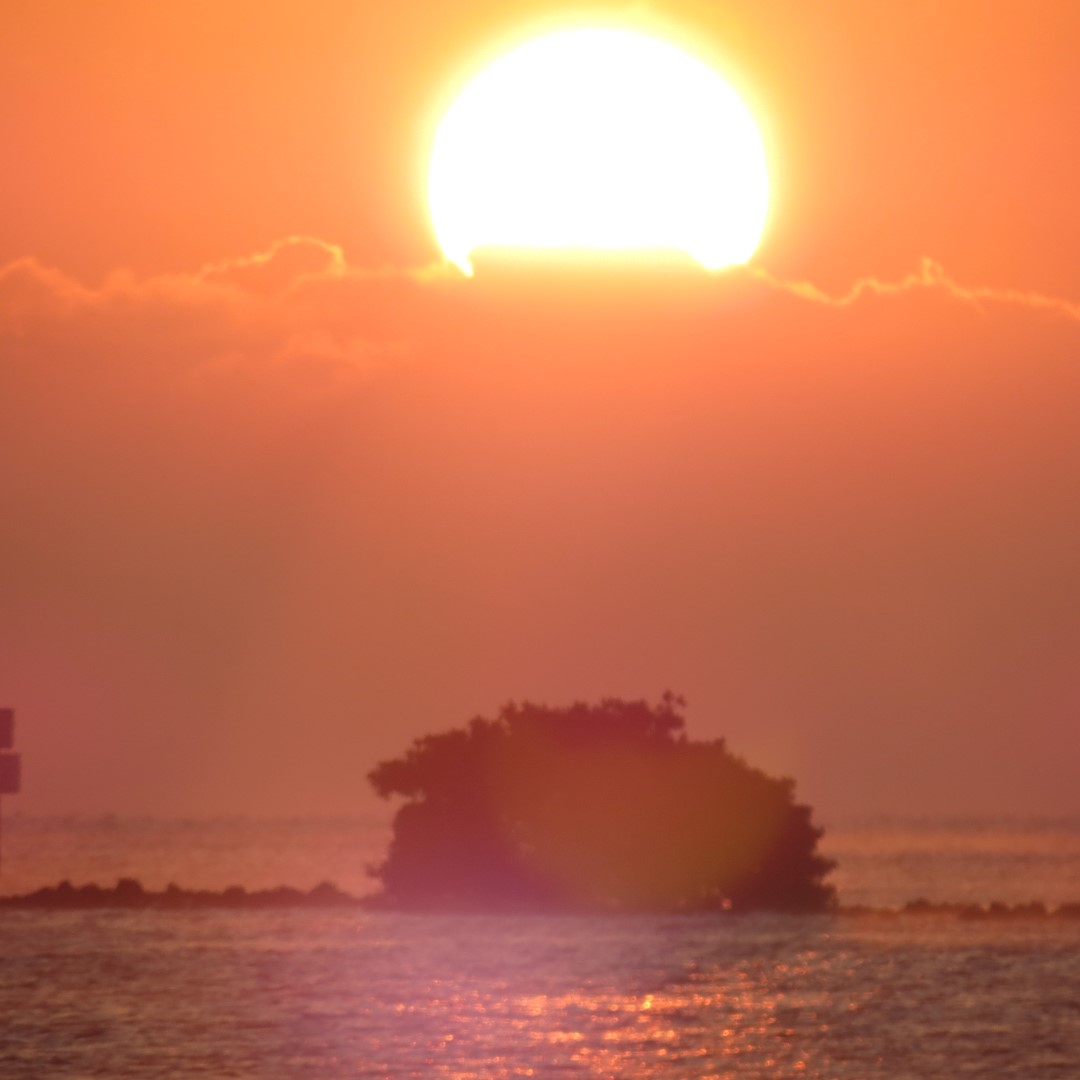 Biscayne - Sunrise over the Park  7 of 15 (#5475)