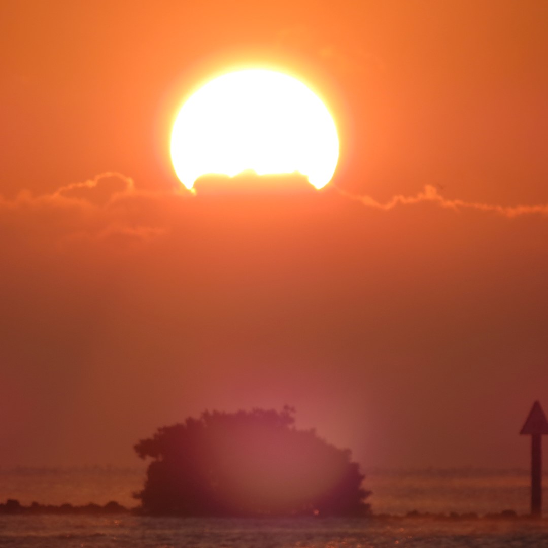 Biscayne - Sunrise over the Park  8 of 15 (#5476)