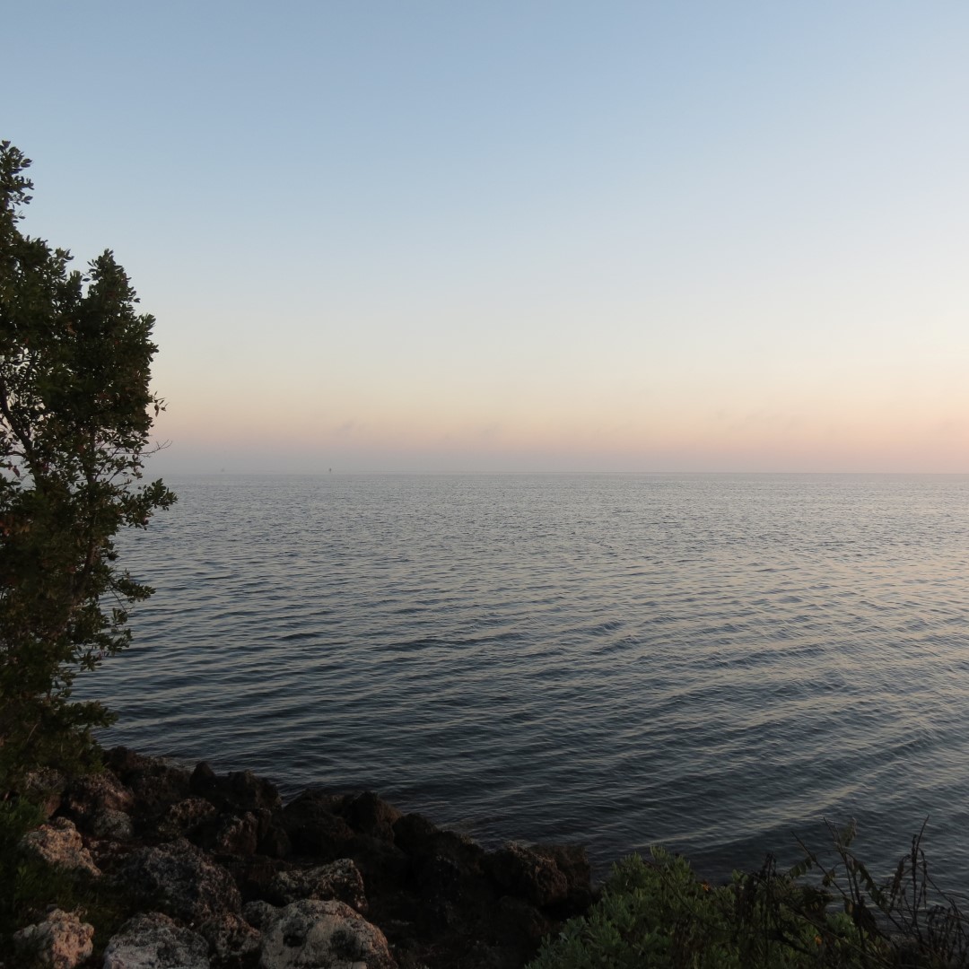 Biscayne - Water Surface Only  7 of 11 (#5478)