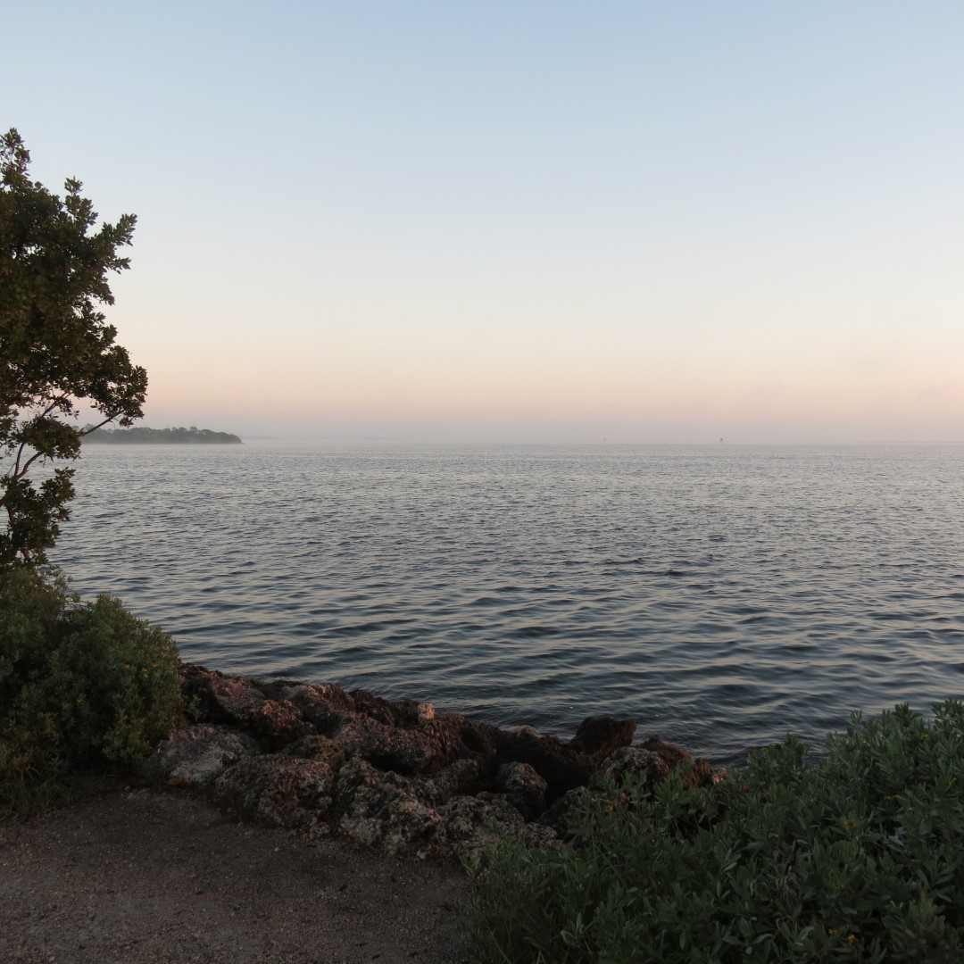 Biscayne - Water Surface Only  8 of 11 (#5479)