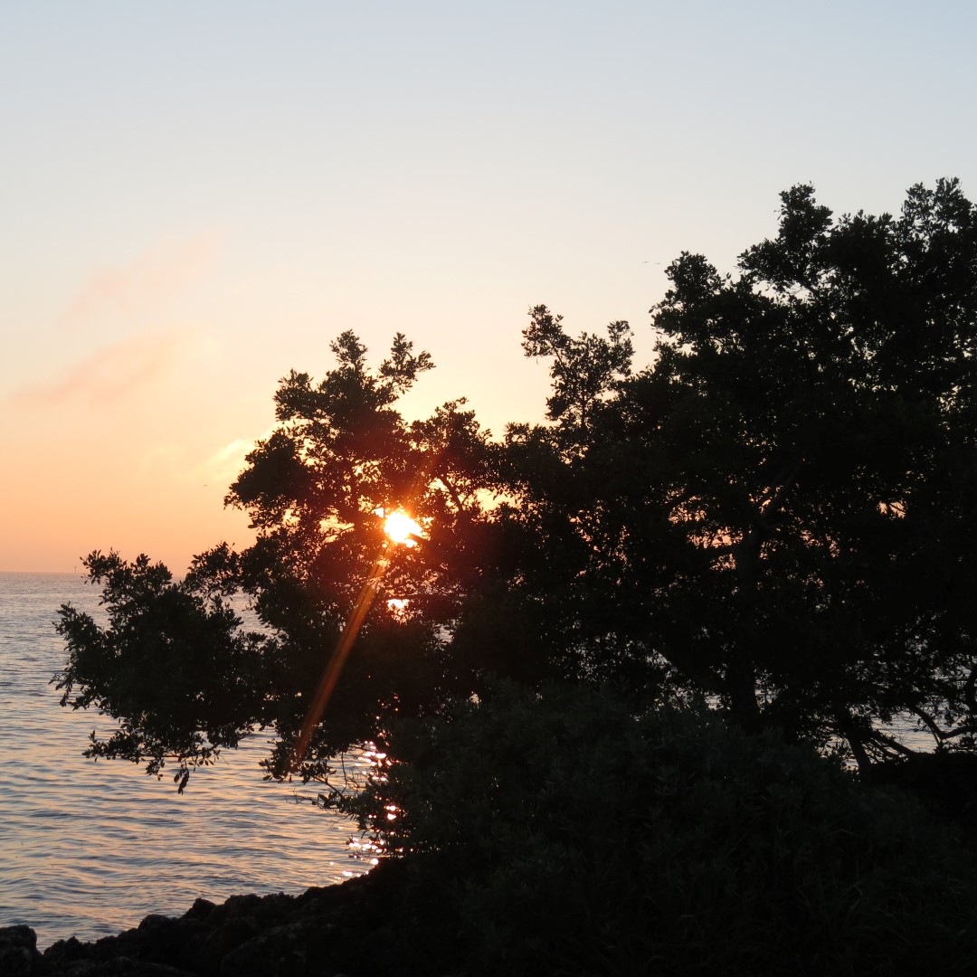 Biscayne - Sunrise over the Park 10 of 15 (#5481)