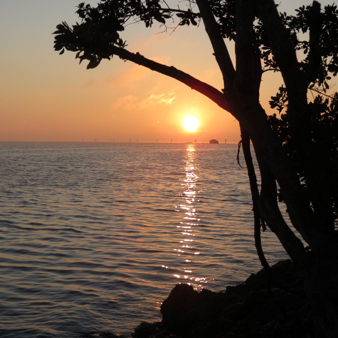 Biscayne - Sunrise over the Park 11 of 15 (#5482)