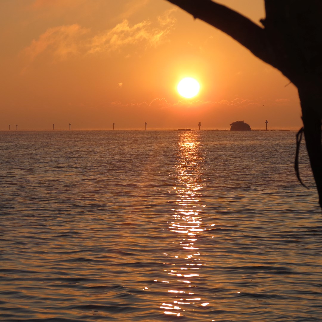 Biscayne - Sunrise over the Park 12 of 15 (#5483)