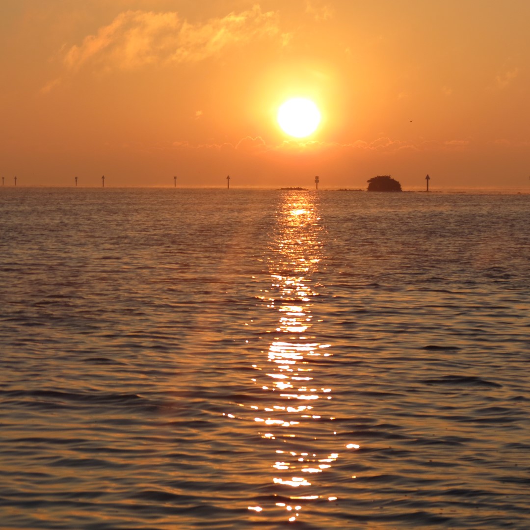 Biscayne - Sunrise over the Park 13 of 15 (#5484)