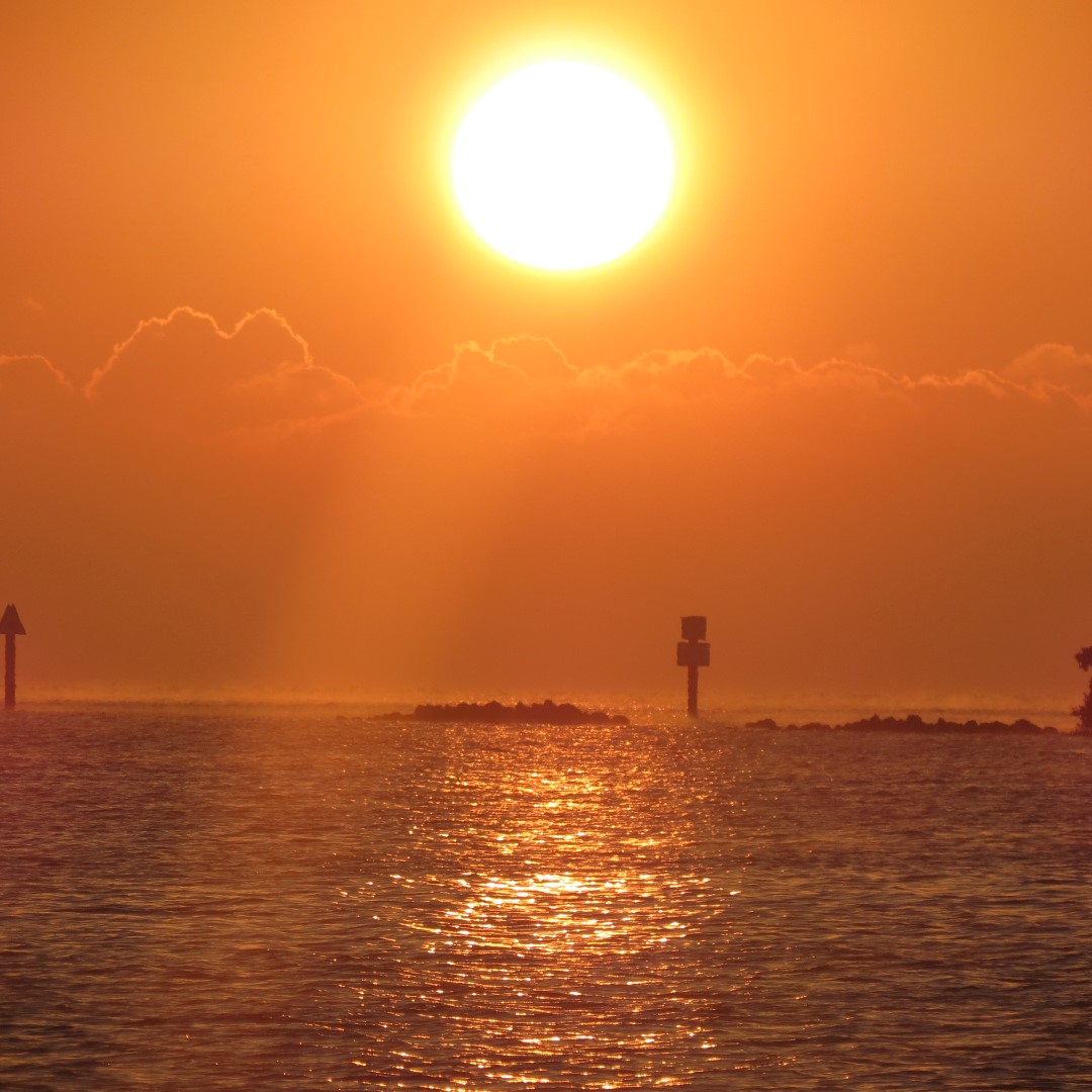 Biscayne - Sunrise over the Park 14 of 15 (#5485)