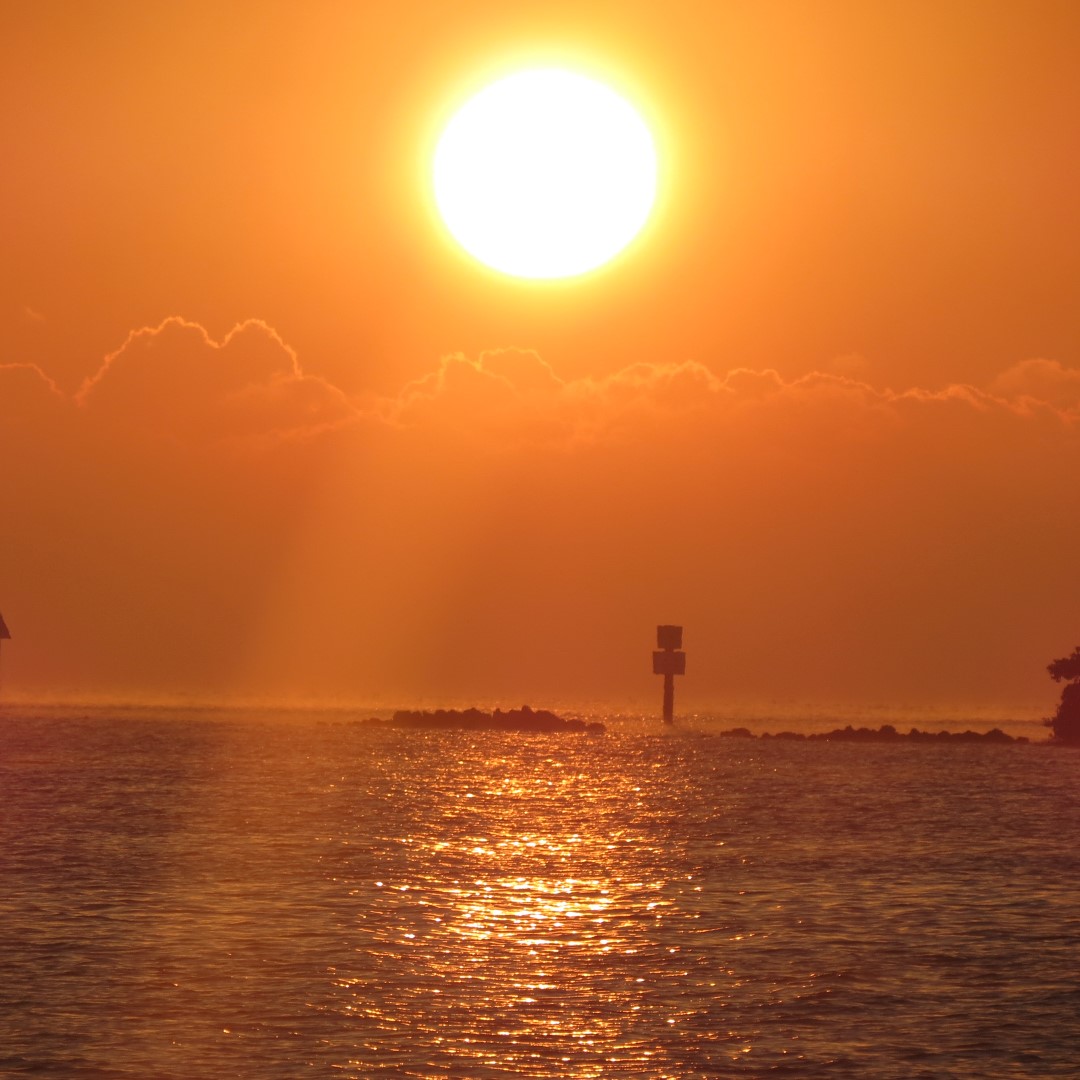 Biscayne - Sunrise over the Park 15 of 15 (#5486)