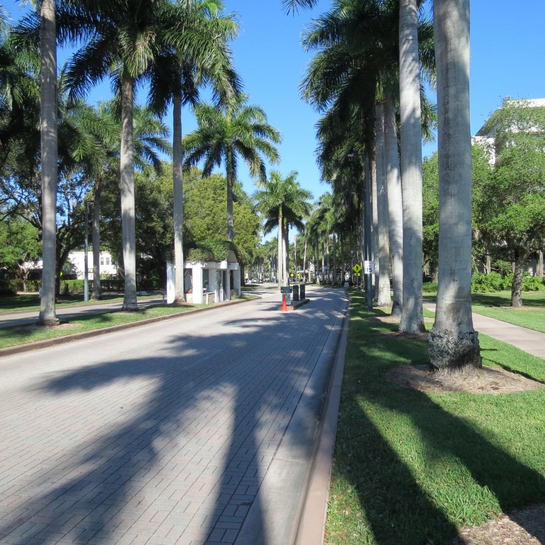 Univesity of Miami (in Coral Gables)  3 of 4 (#5489)