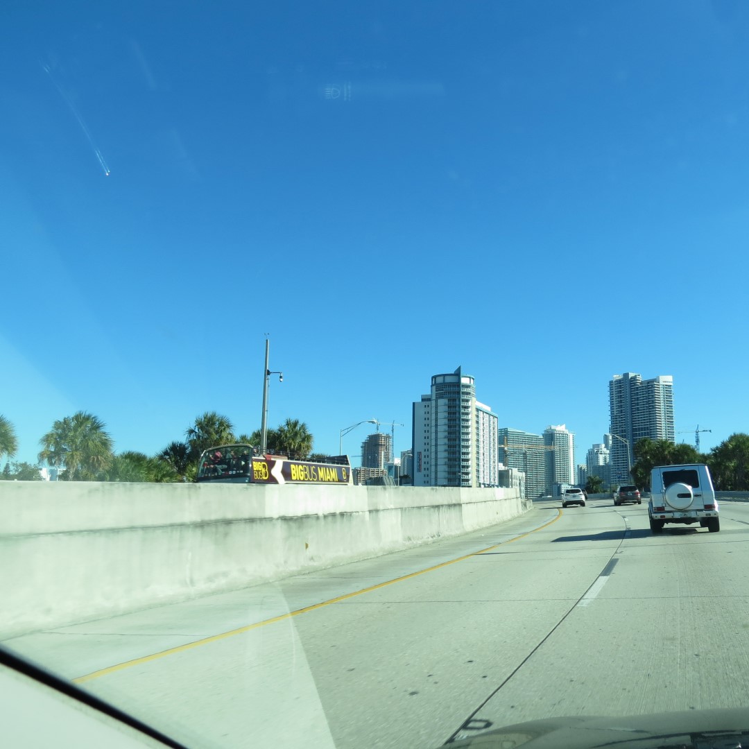 Miami Downtown Skyline (portion)  2 of 2 (#5494)