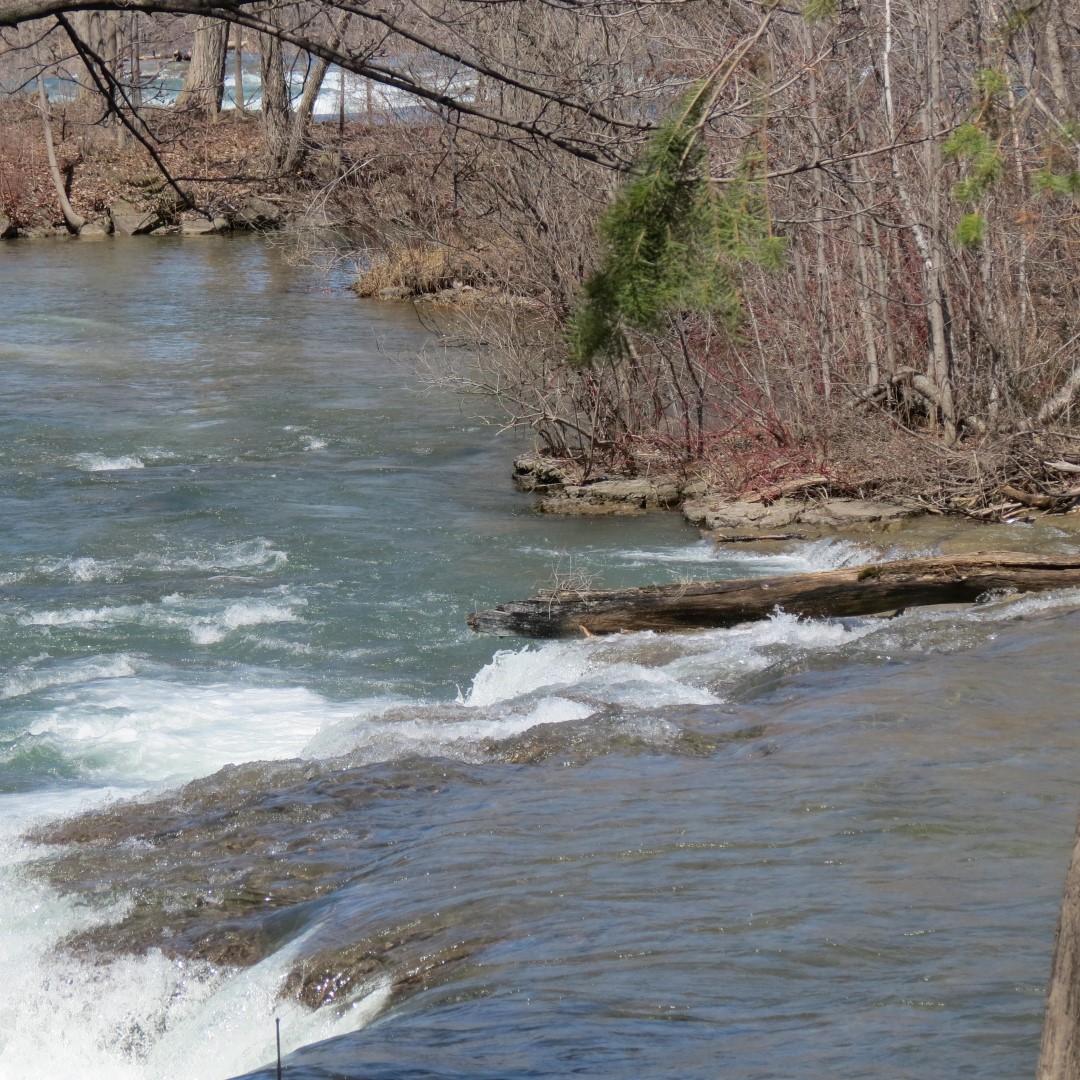Niagara River just downstream from the falls  1 of 9 (#5862)