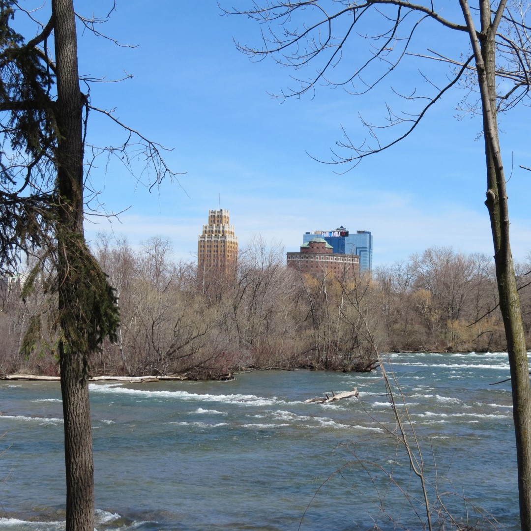 City of Niagara Falls in Ontario Canada  1 of 11 (#5863)