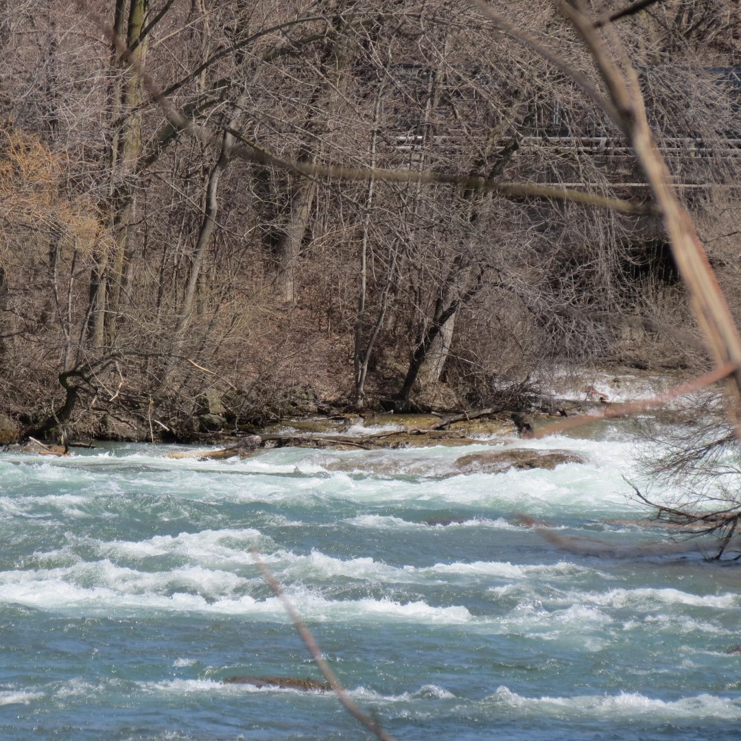 Niagara River just downstream from the falls  2 of 9 (#5864)