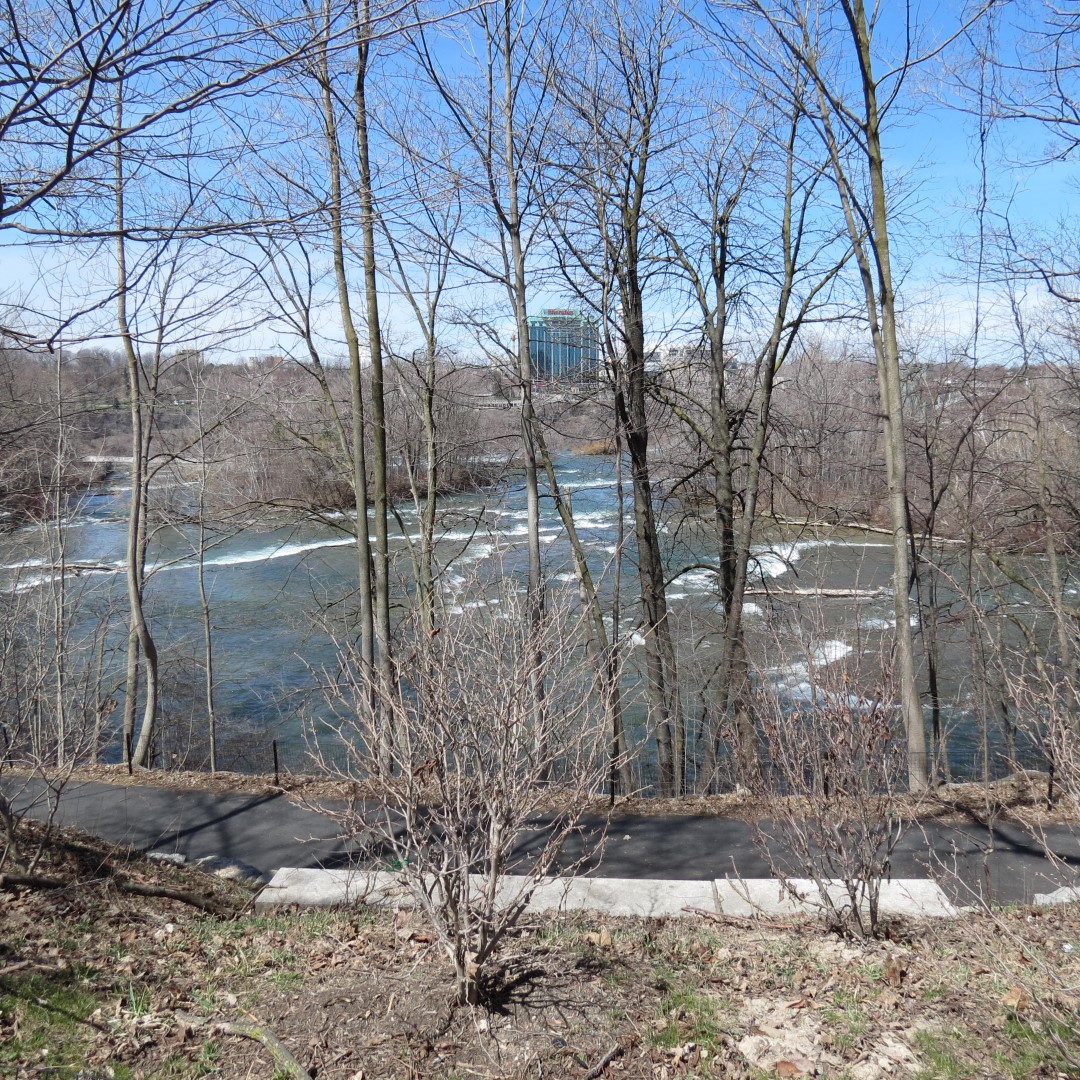 City of Niagara Falls in Ontario Canada  2 of 11 (#5865)