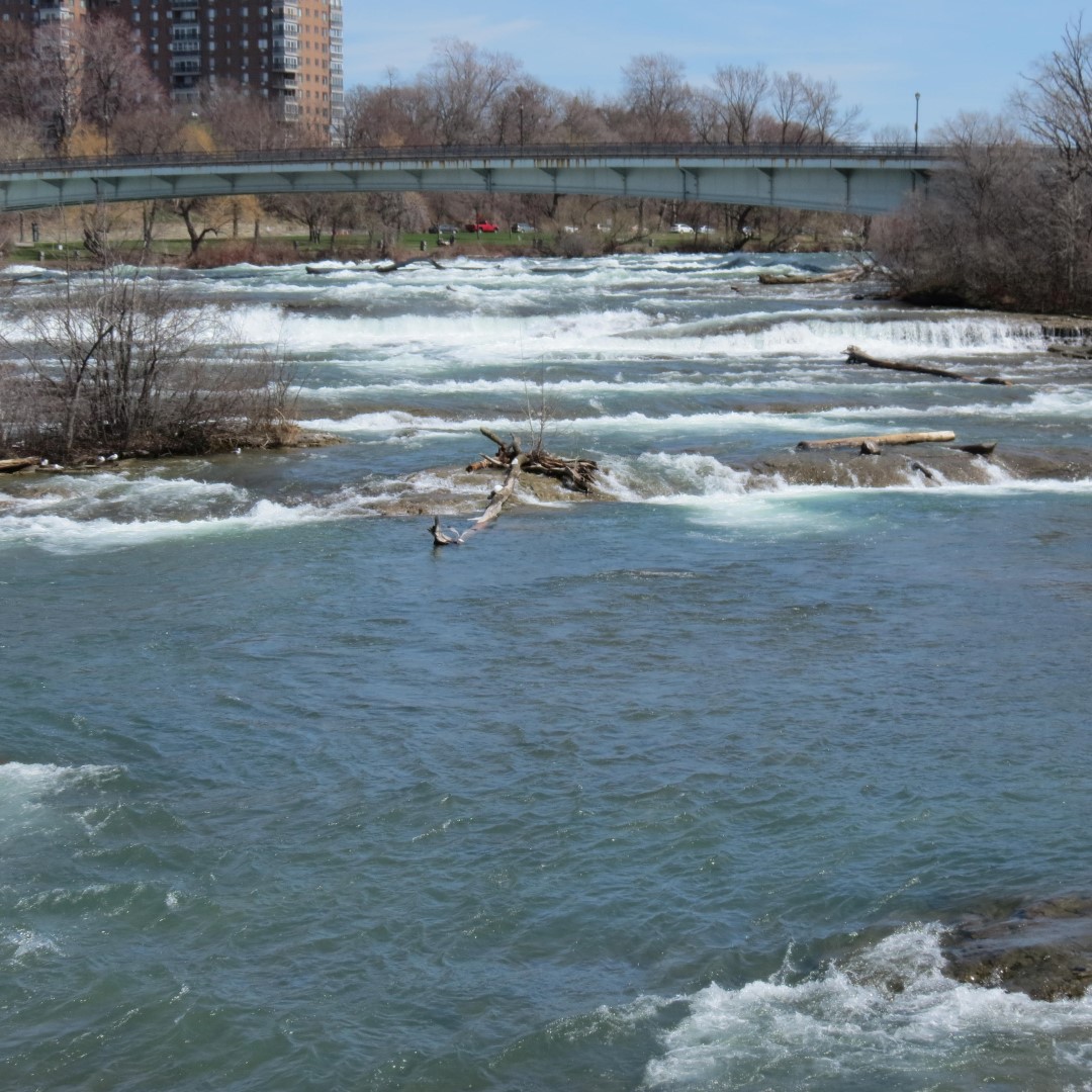 Niagara River just downstream from the falls  3 of 9 (#5866)