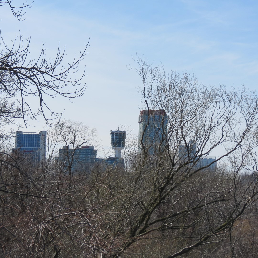 City of Niagara Falls in Ontario Canada  5 of 11 (#5869)