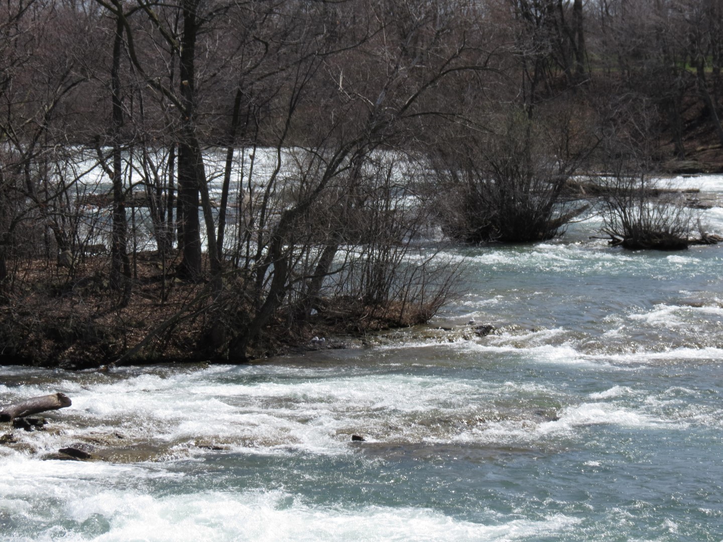 Horseshoe Falls of the Niagara River 22 of 22 (#5871)