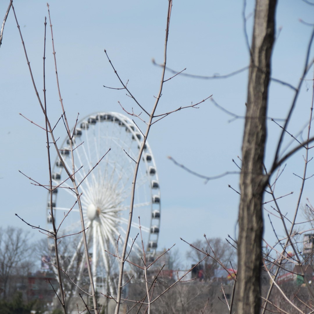 City of Niagara Falls in Ontario Canada  8 of 11 (#5879)