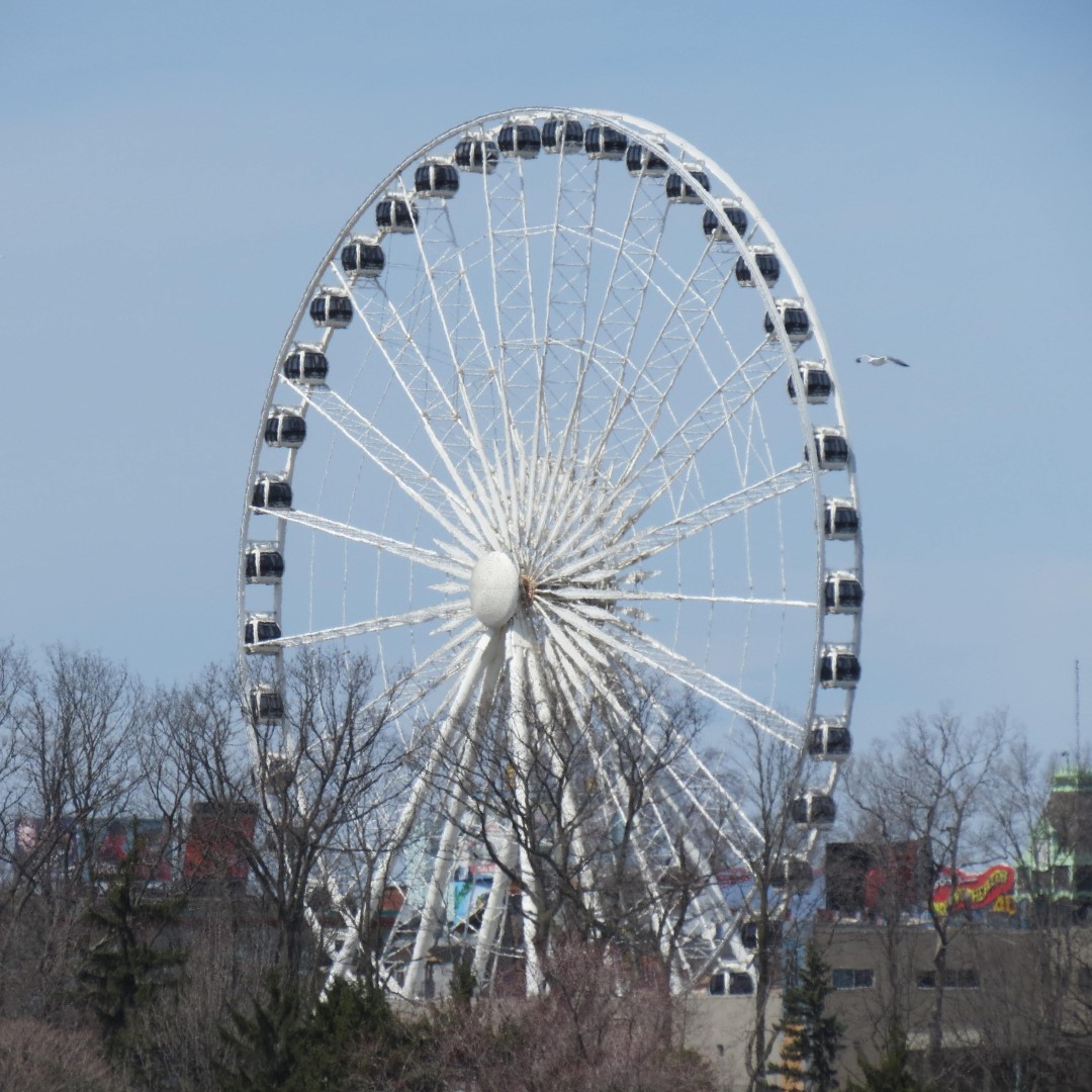 City of Niagara Falls in Ontario Canada 11 of 11 (#5884)