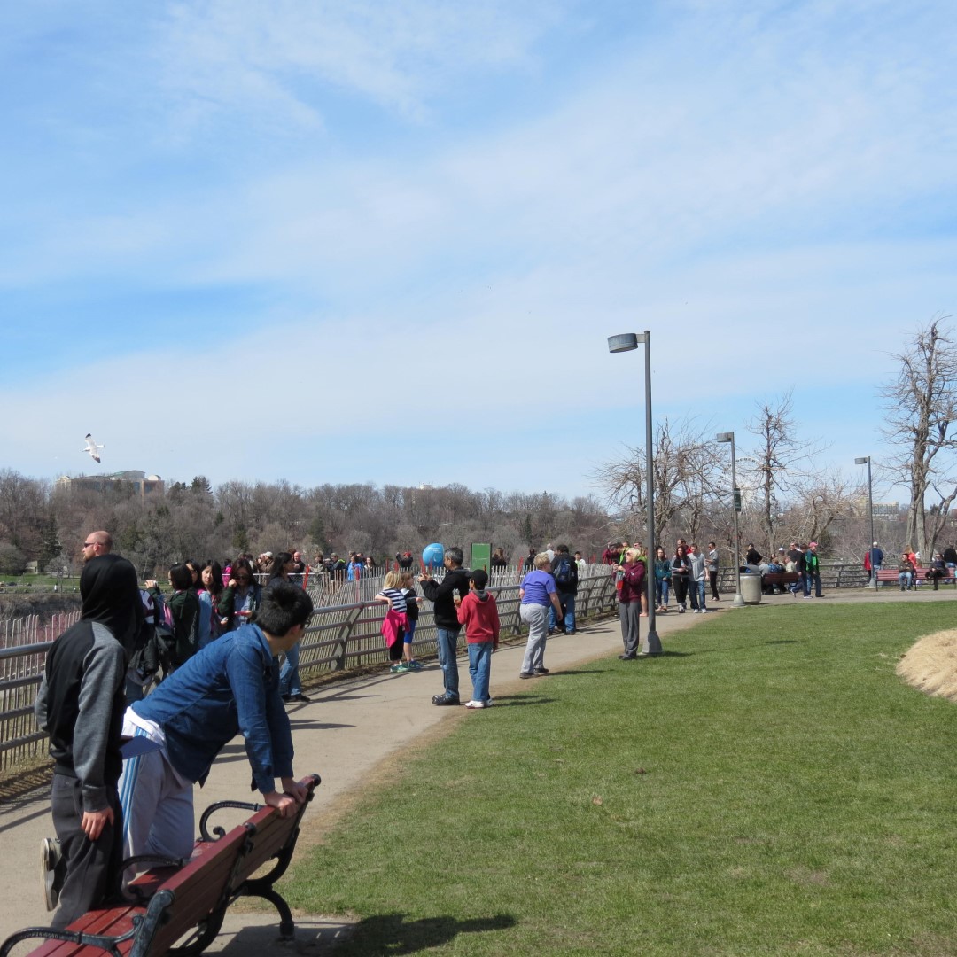 Niagara Falls State Park in the town of Niagara Falls NY  5 of 9 (#5912)