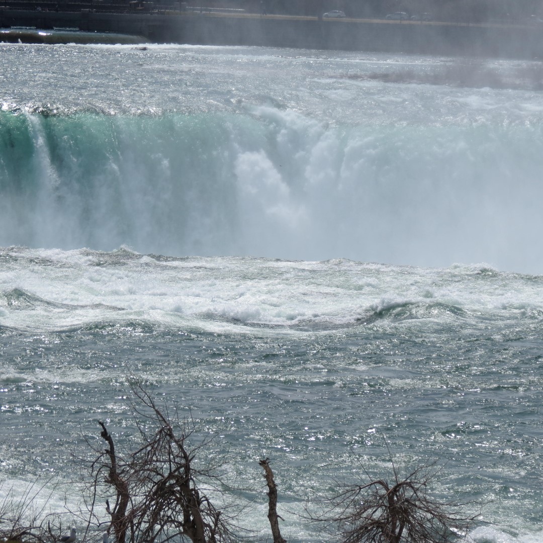Horseshoe Falls of the Niagara River 14 of 21 (#5813)