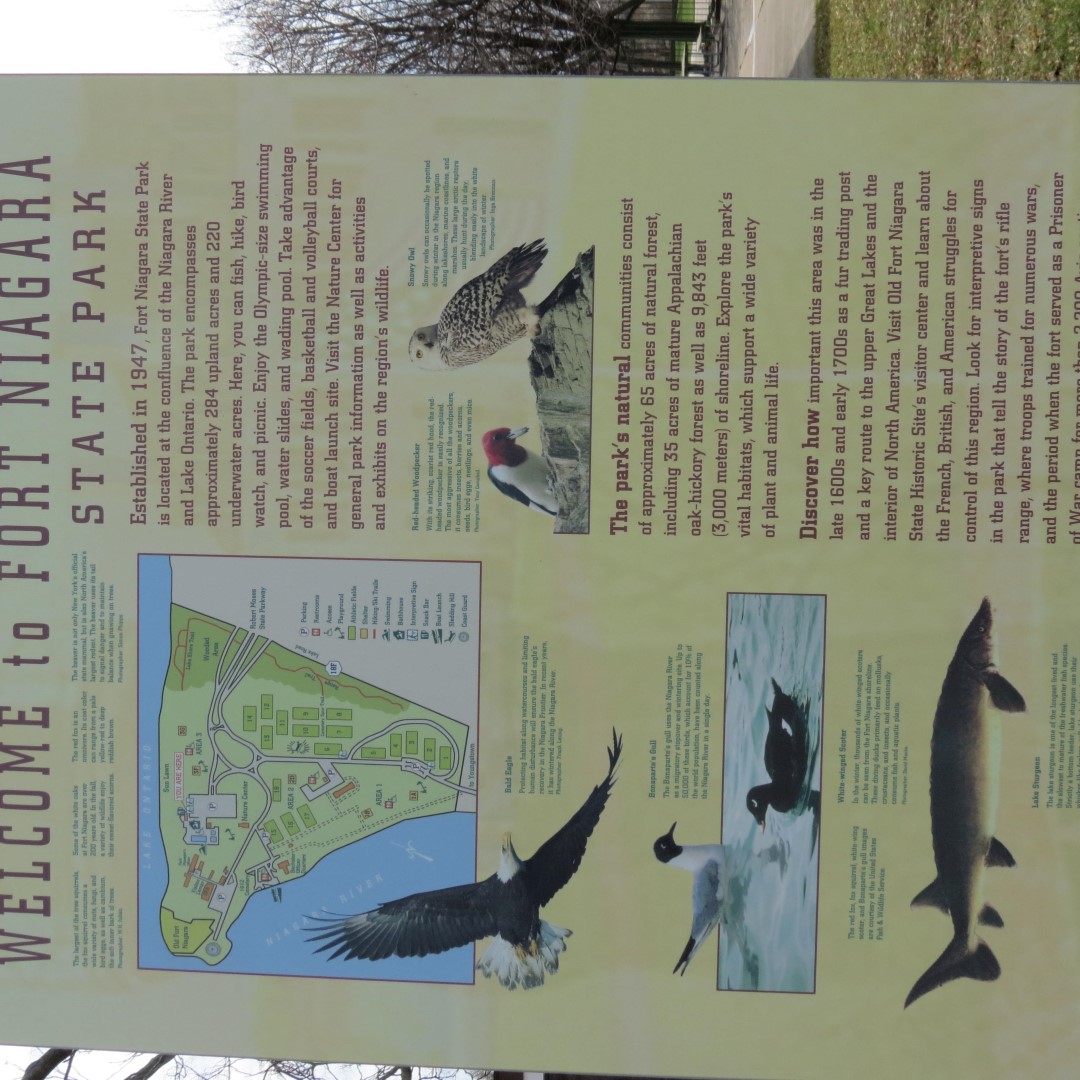 Lake Ontario in NY  3 of 10 (#5924)