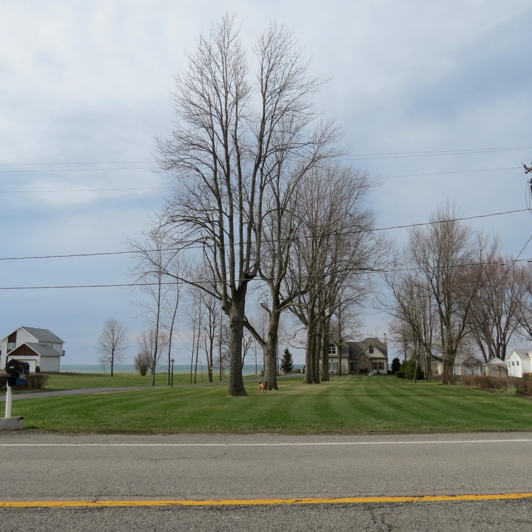 Lake Ontario in NY  9 of 10 (#5940)