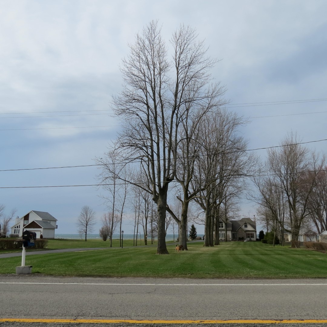 Lake Ontario in NY 10 of 10 (#5941)