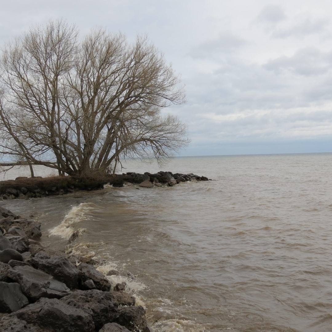 Hamlin Beach State Park on Lake Ontario  6 of 9 (#5954)